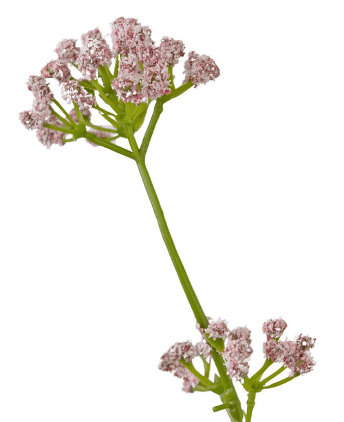Kunstgræs Porreblomst Løg Græspotte 120 cm brandhæmmende middel har en enkelt grøn stilk med klaser af små, sarte lyserøde blomster mod en hvid baggrund.