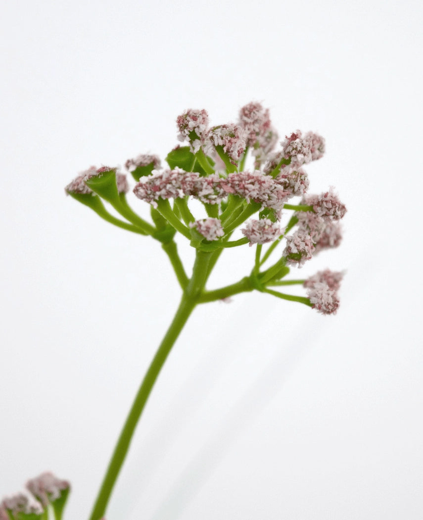 Et nærbillede af kunstgræs Porreblomst Løg Græspotte 90 cm brandhæmmende viser en grøn stilk med klaser af små, lyserøde blomster mod en almindelig hvid baggrund.