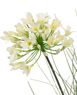 Et nærbillede af kunstgræs hvid Agapanthus løggræspotte 90 cm brandhæmmende viser sarte hvide blomster med en gul midte på lange grønne stængler, omgivet af tjavsede blade, mod en almindelig hvid baggrund.