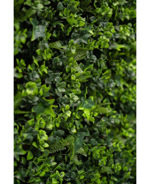 Nærbillede af tæt grønt løv med små bladplanter og vinstokke, med den frodige kunstige hæk-måtteblanding 50x50 cm, perfekt til at skabe en levende lodret grøn væg.