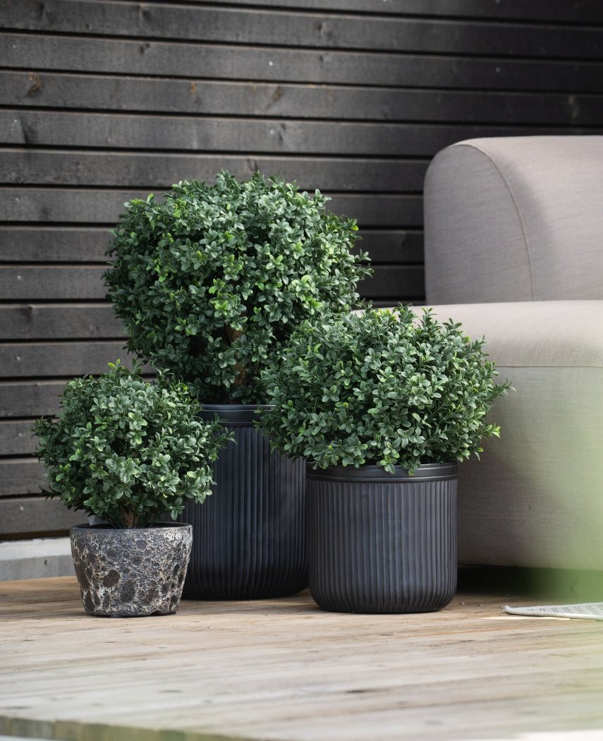 Drie Kunst Buxus op stam UV 40 cm ronde, weelderig groene potplanten staan op een houten vlonder naast een lichtgrijze buitenbank, met een donkere houten muur op de achtergrond.