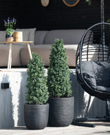 To kunstig plante buksbom pyramide UV 90 cm formede træer er på en terrasse nær en udendørs bænk og en rund flet hængende stol med en sort pude, mens et lille bord med en plante er i baggrunden.