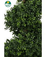 Artificial Boxwood Spiral Roman Style UV 120cm har tæt, frodigt grønt kunstigt grønt løv med små blade og et UV-modstandssymbol med et solikon i øverste venstre hjørne.