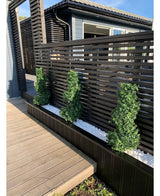 Tre kunstige buksbom spiral romersk stil UV 90 cm topiary buske står i en smal seng af hvide småsten, mod et moderne sort lamel privat hegn ved siden af en træterrasse og moderne hus.