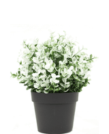 Kunstig Buxus hvid i potte 19 cm UV