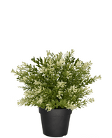 Kunstig Buxus i potte 23 cm UV