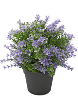 Kunstig Buxus lilla 22 cm UV