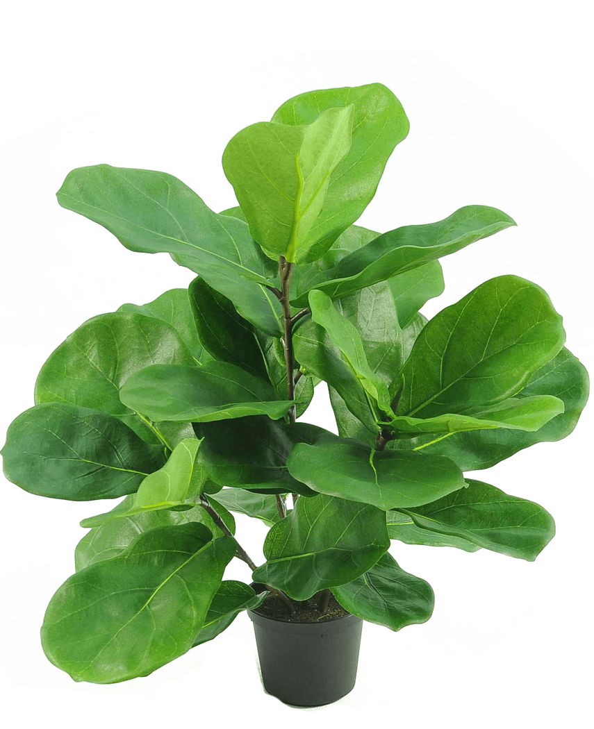 Kunstig Fiddle Leaf 45 cm