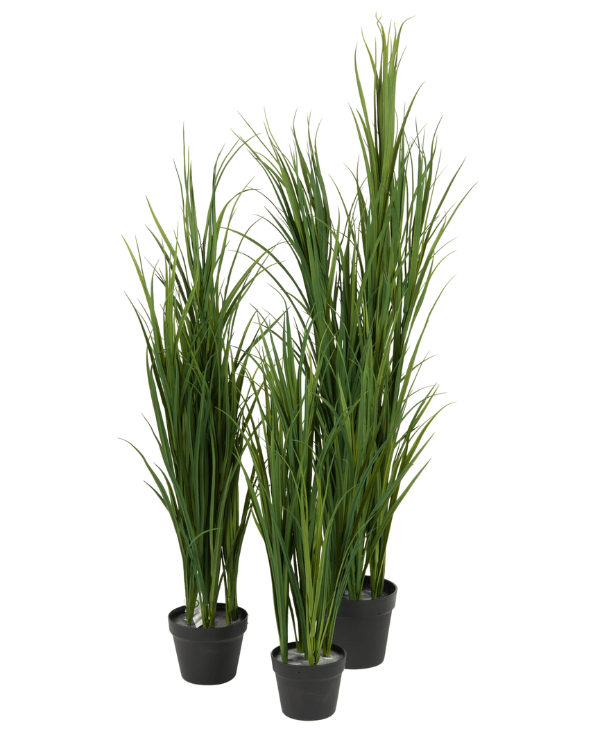 Fire kunstgræsgrønne UV 150 cm kunstige planter, hver i en sort potte, har høje, tynde opretstående grønne blade og står tæt sammen mod en hvid baggrund.