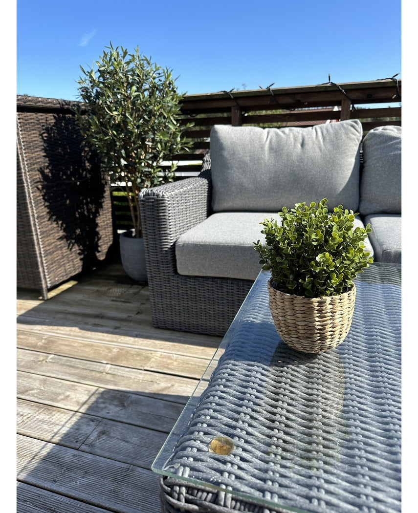 En terrasse med en grå kurvefletbænk og bord, med en kunstig buksbomgrøn plante i en UV 19 cm potte på bordet og en større potteplante ved siden af bænken, alt sammen under en klar blå himmel.