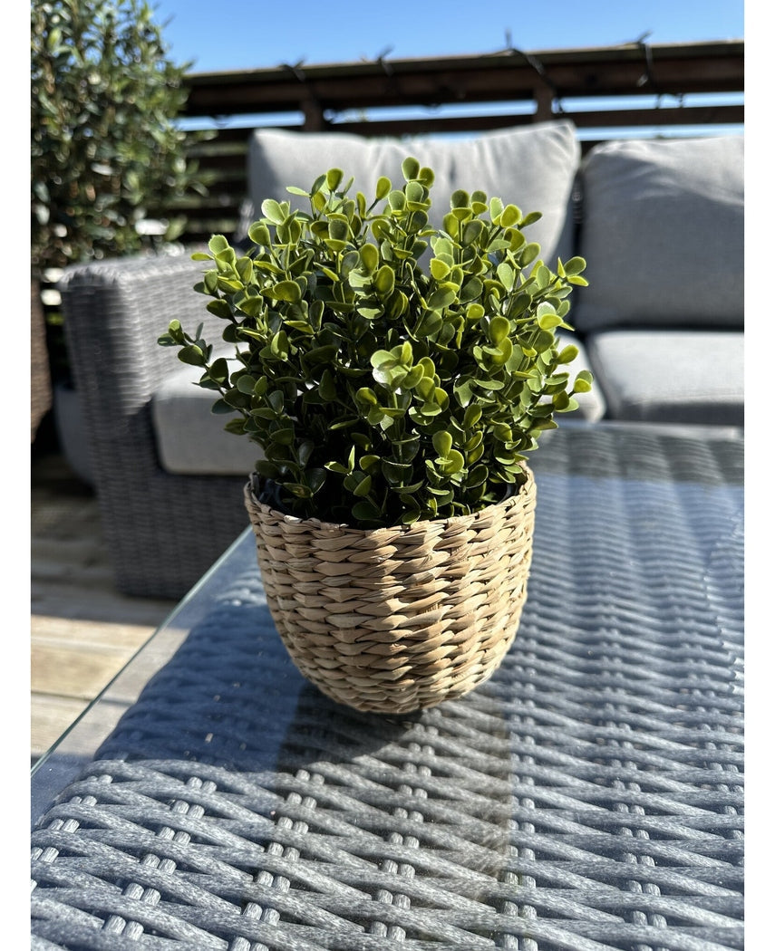 Den kunstige plante Buxus grøn i potte UV 19 cm, med grønne blade i en flettet kurvformet potte, står på et udendørs glasbord med havemøbler og et trægelænder synligt under en klar blå himmel.