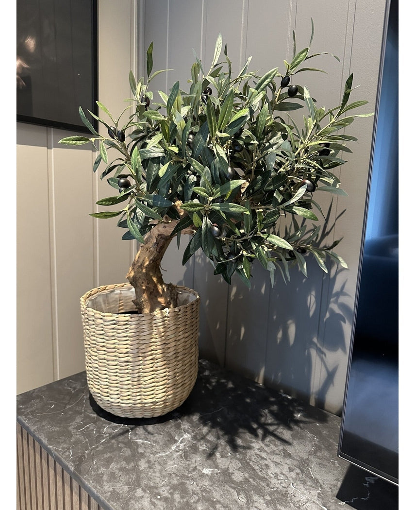 Artificial Olive Mount UV 60cm, med grønne blade og sorte oliven, sidder i en vævet kurv på en mørk marmoroverflade mod en lys panelvæg - nem at vedligeholde og UV-bestandig for langvarig skønhed.