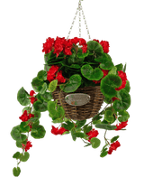 Kunstig begonia lilla i kurv UV 70cm