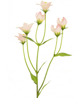 Kunstig blomst Aster 60 cm pink