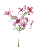 Kunstig blomst Cosmos 74 cm pink