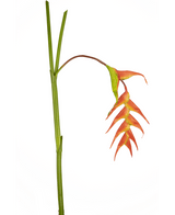 Kunstig blomst Heliconia 120 cm rød