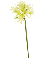 Kunstig blomst Nerine 70 cm grøn