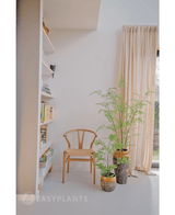 Kunstig bregneplante 75 cm