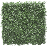 Kunstig hæk Buxus 50x50 cm UV