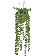 Kunstig hængeplante Senecio i potte 55 cm