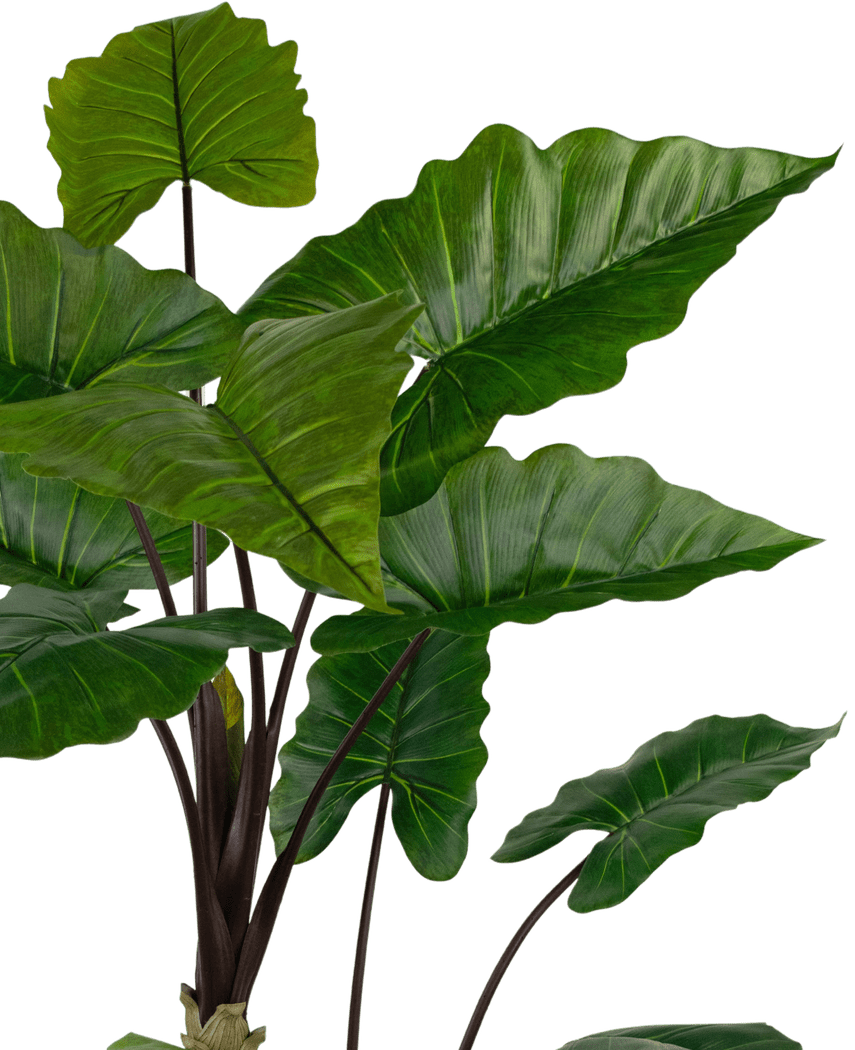 Kunstig plante Alocasia 180 cm
