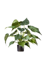 Kunstig plante Alocasia 51 cm