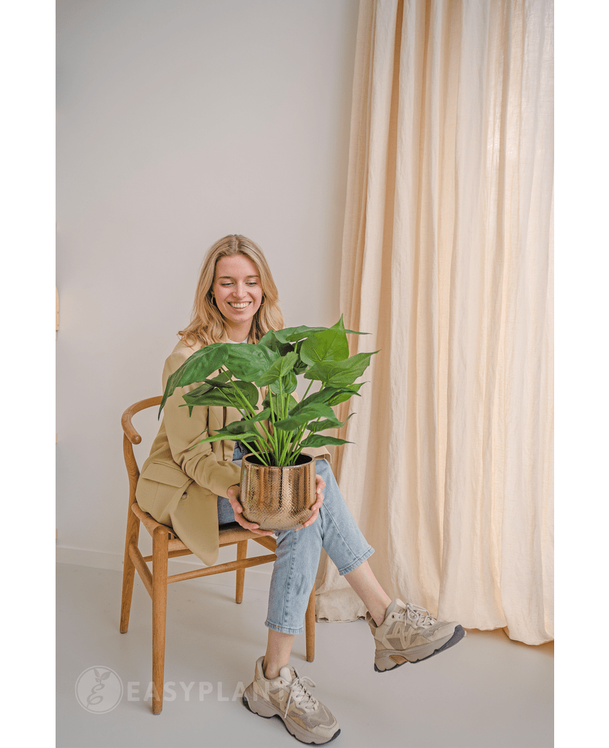 Kunstig plante Alocasia 51 cm