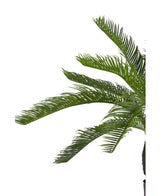 Kunstig plante Baby Cycas Palm 60 cm