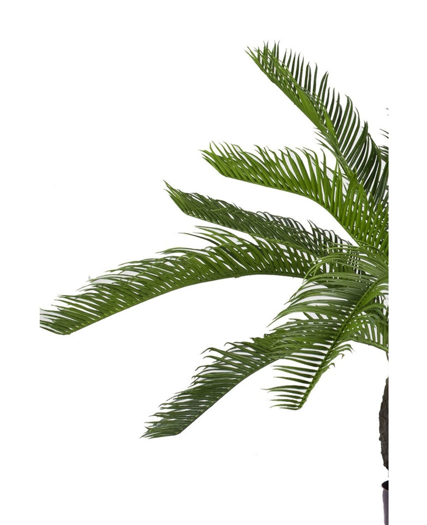 Kunstig plante Baby Cycas Palm 60 cm