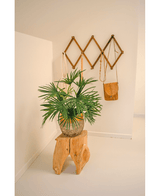 Kunstig plante Baby Palm Fan i potte 50 cm