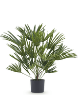 Kunstig plante Baby Palm Fan i potte 50 cm