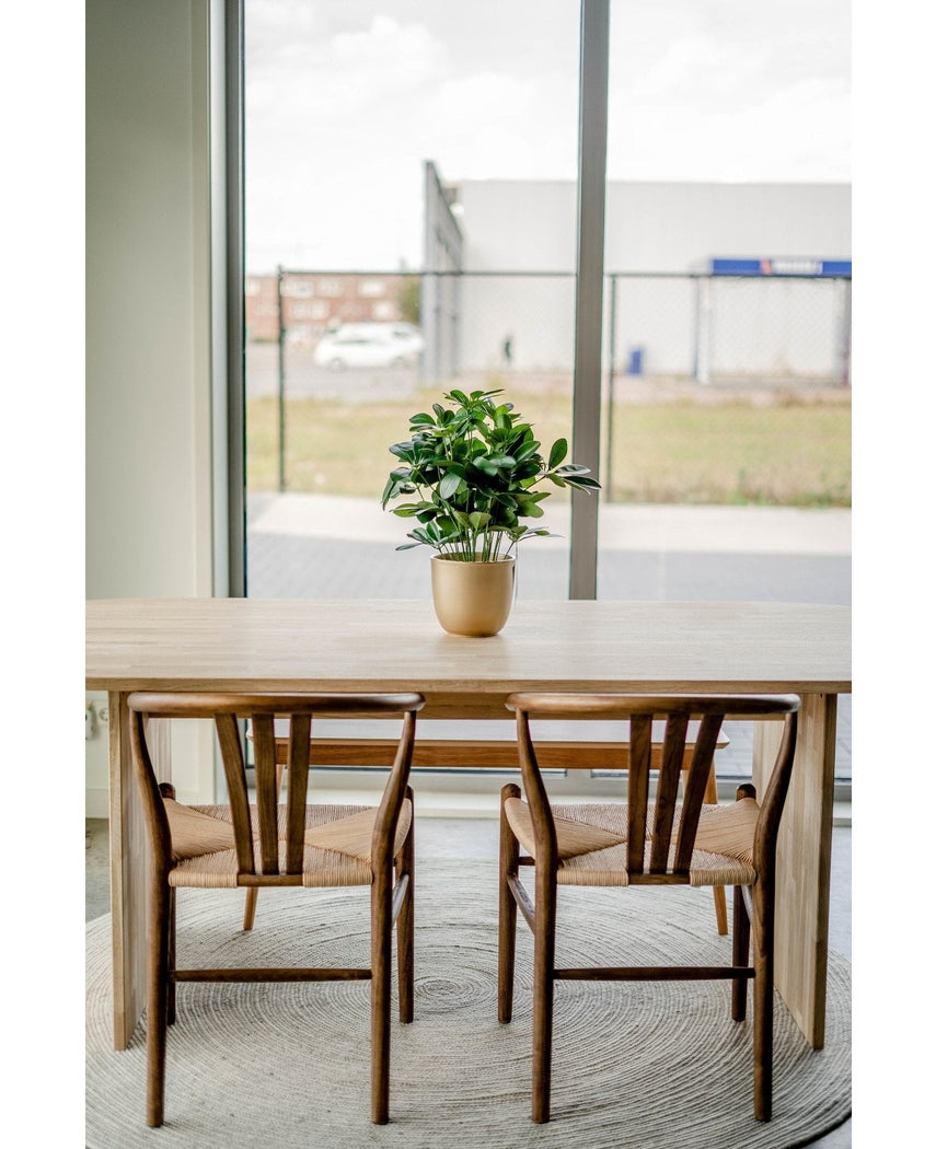 Kunstig plante Baby Schefflera 45 cm