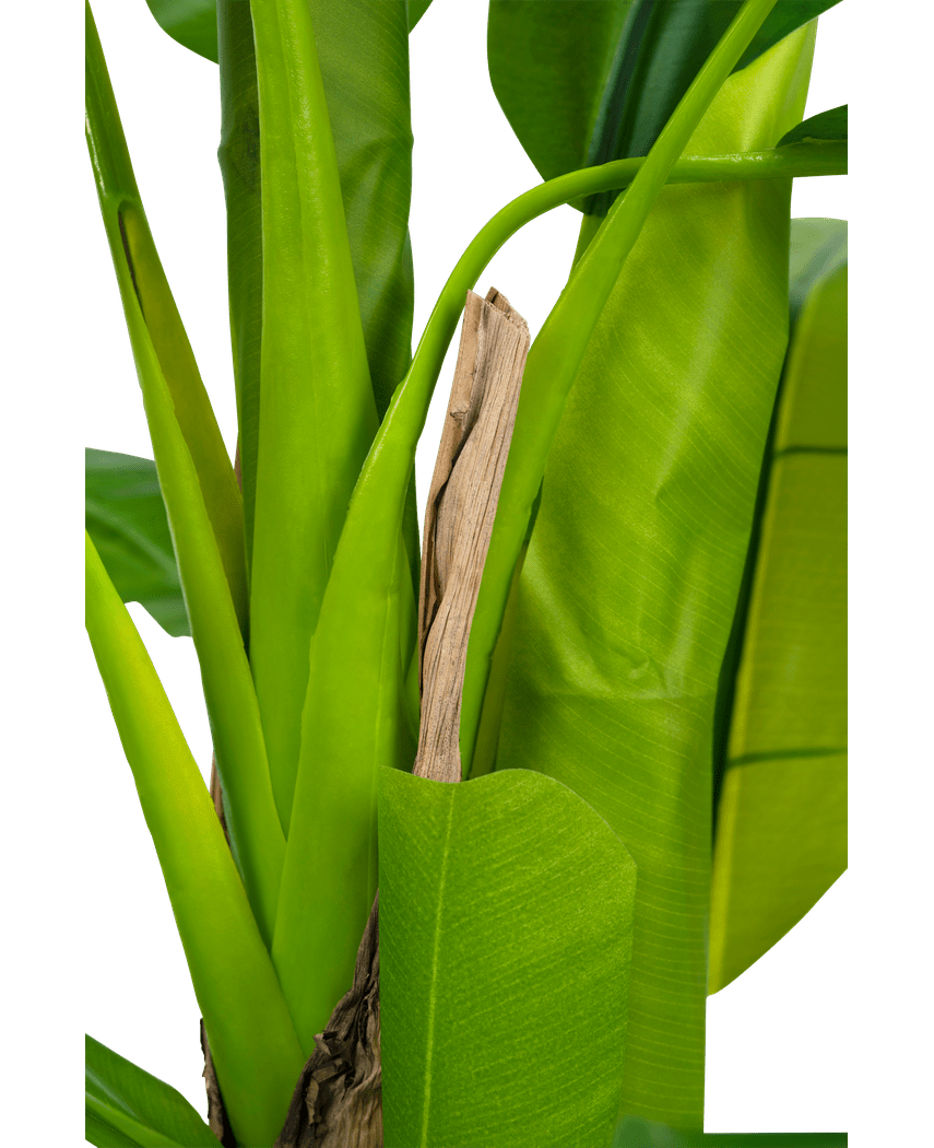 Kunstig plante Banantræ 180 cm