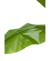 Kunstig plante Banantræ 180 cm