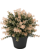 Kunstig plante Buxus pink 22 cm UV