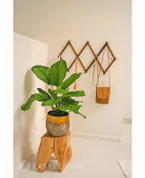 Kunstig plante Calathea Fasciata 53 cm i potte