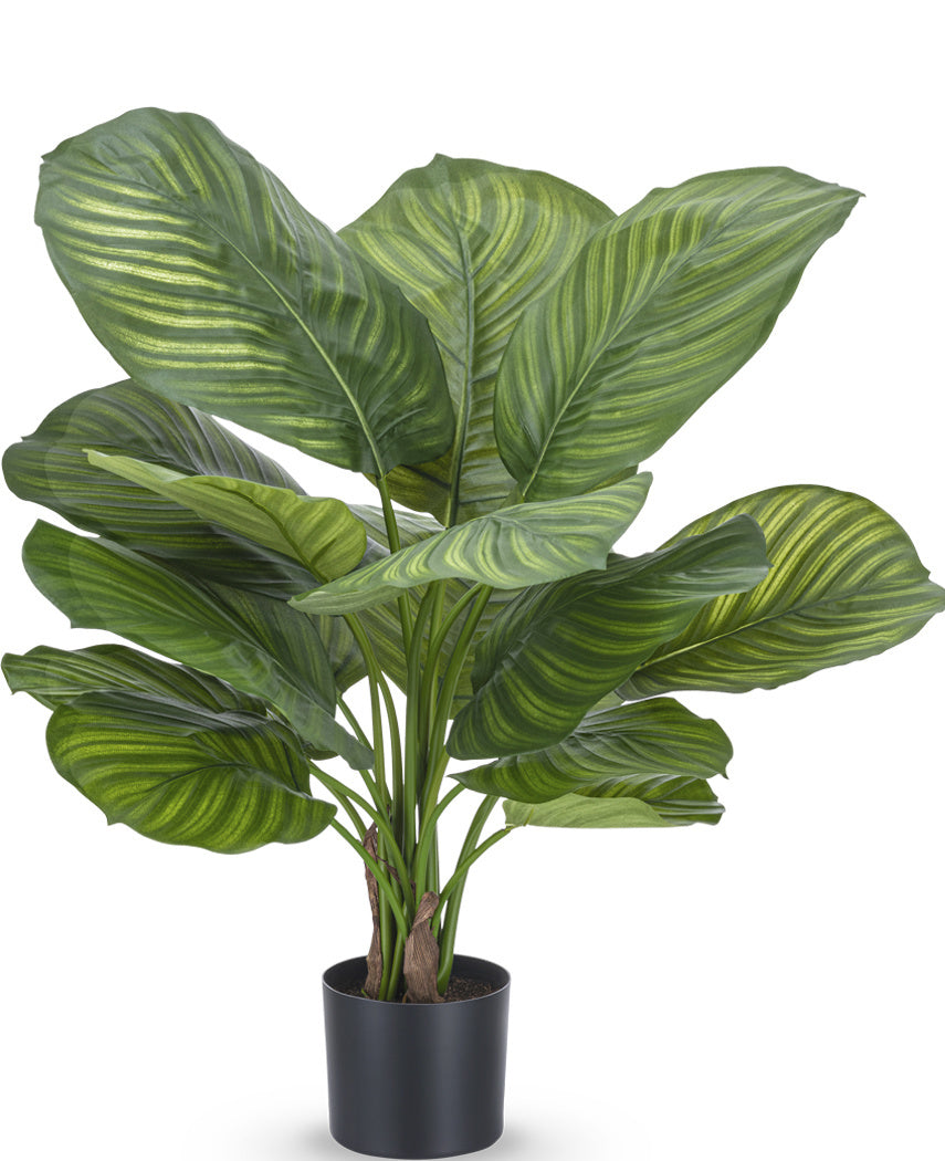 Kunstig plante Calathea Fasciata 53 cm i potte