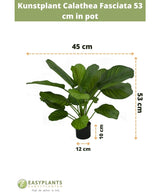 Kunstig plante Calathea Fasciata 53 cm i potte
