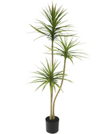 Kunstig plante Dracaena Fragnans 150 cm