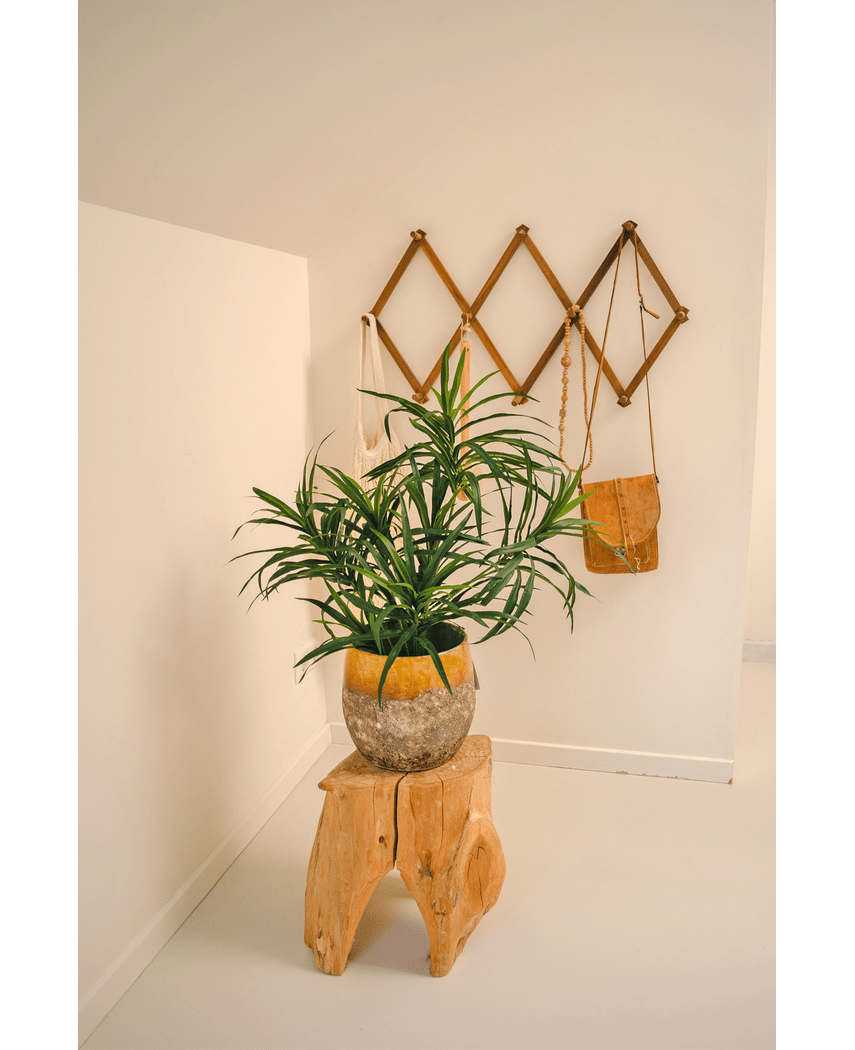 Kunstig plante Dracaena Reflexa i potte 63 cm