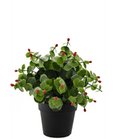Kunstig plante Eucalyptus rød i potte 22 cm UV