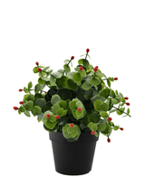 Kunstig plante Eucalyptus rød i potte 22 cm UV