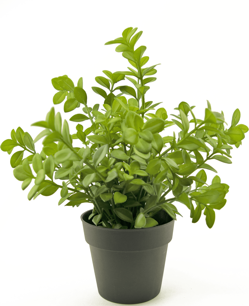 Kunstig plante Eukalyptus 27 cm