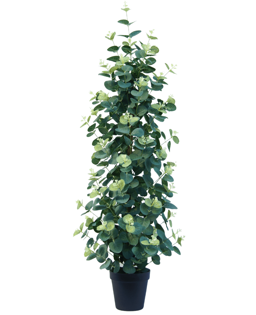 Kunstig plante Eukalyptus 91 cm