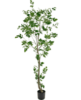 Kunstig plante Ficus 210 cm