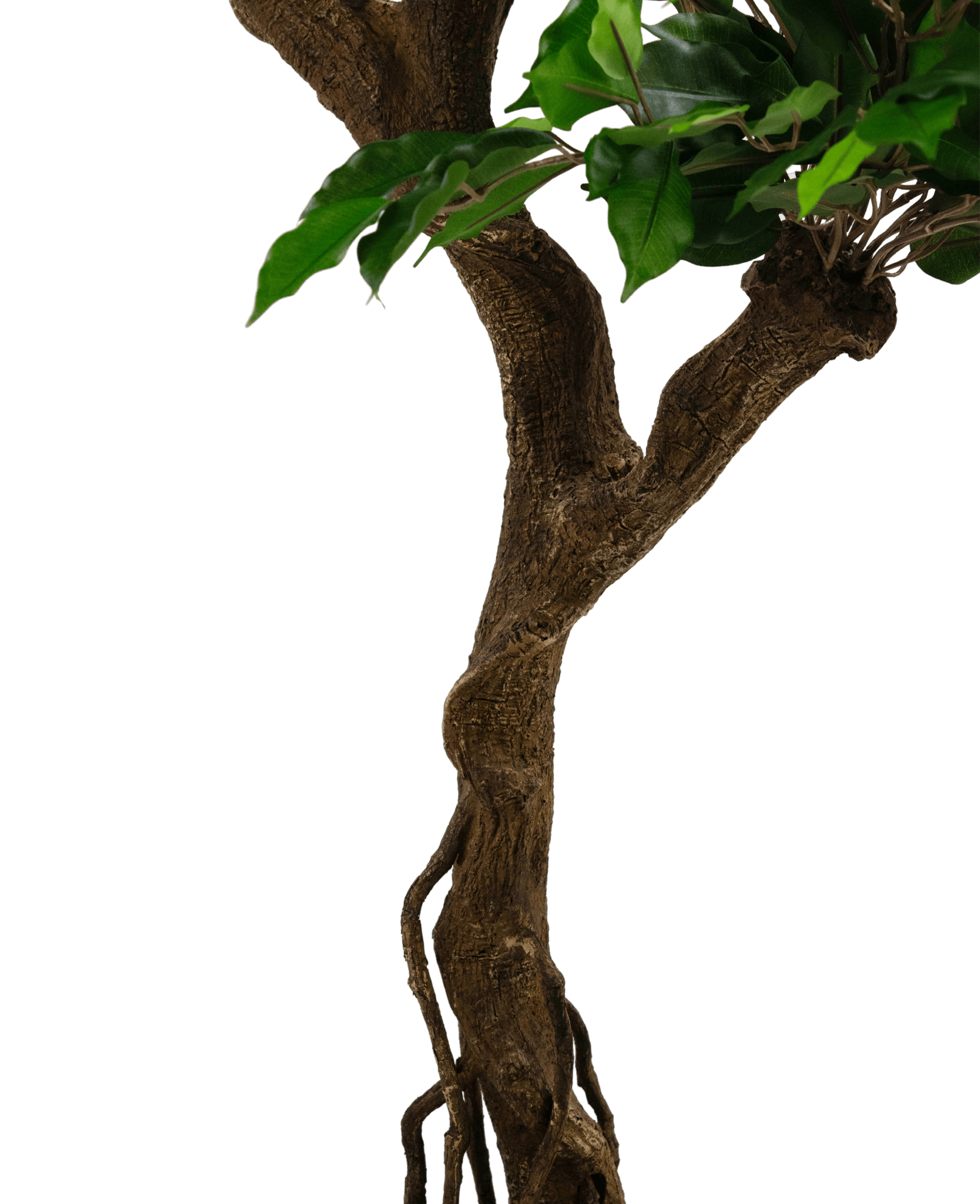 Kunstig plante Ficus Crazy 150 cm