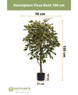 Kunstig plante Ficus Fur 150 cm