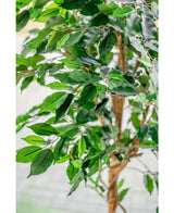 Kunstig plante Ficus Green 150 cm