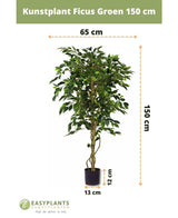 Kunstig plante Ficus Green 150 cm