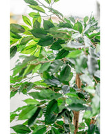Kunstig plante Ficus Green 150 cm